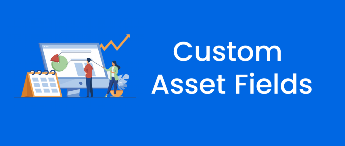 Custom Asset Fields
