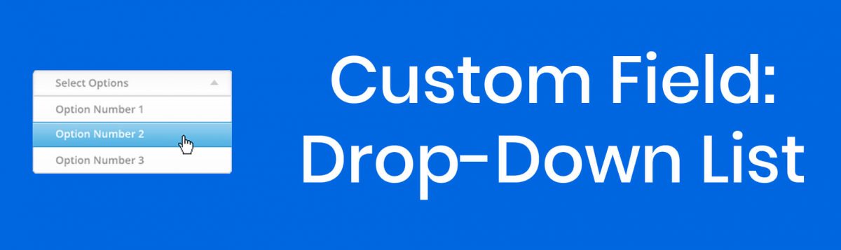 Custom Field: Drop-Down List